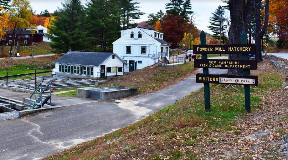 State Fish and Game seeks $30 mil. for hatchery project